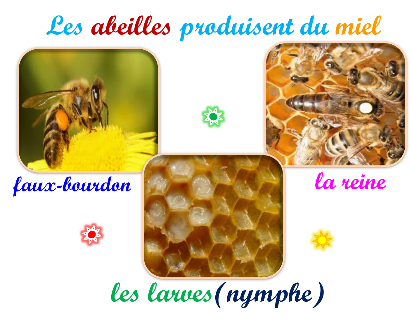 Oups