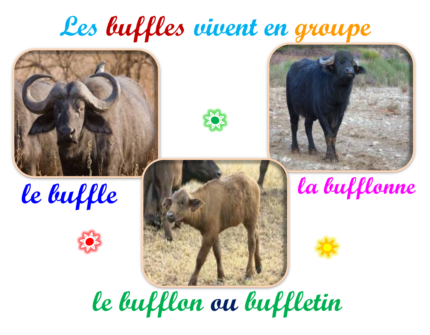 Oups