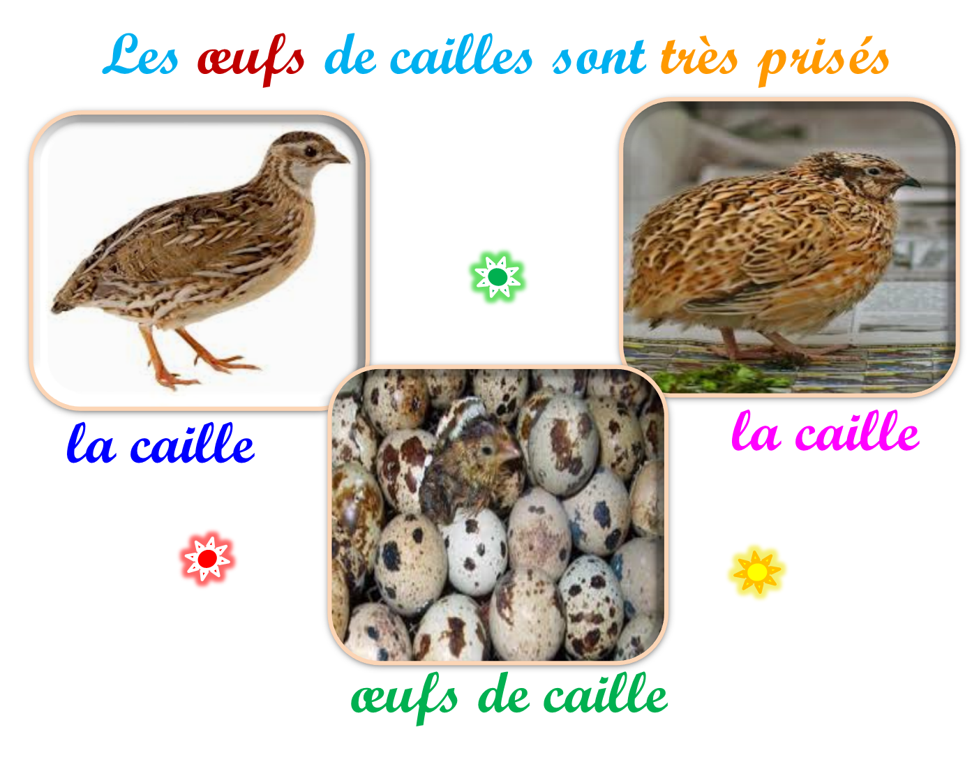 Oups