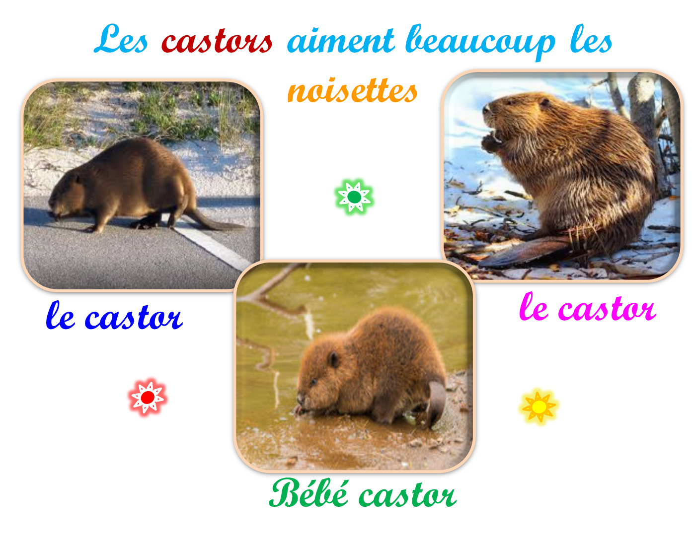 Oups