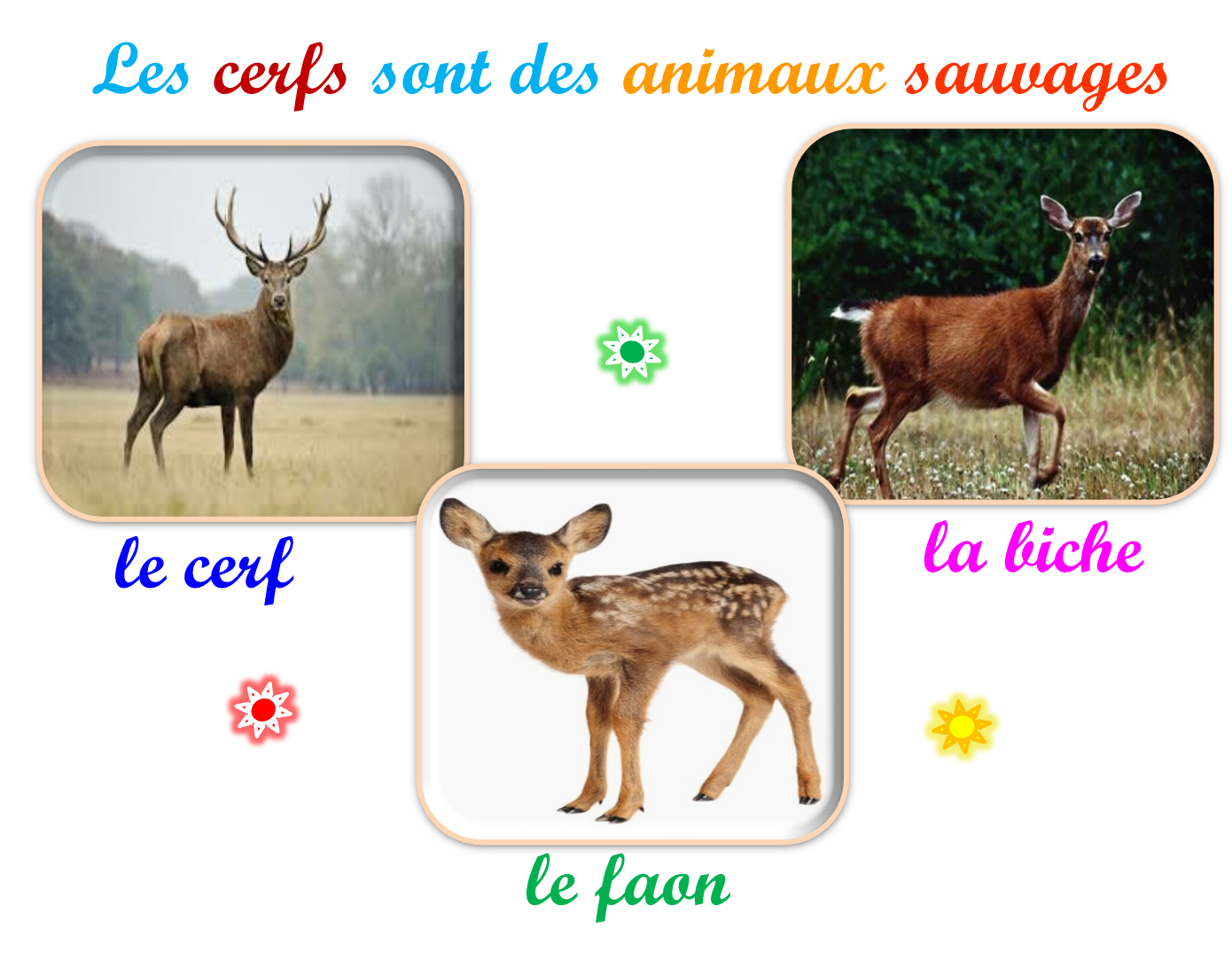 Oups