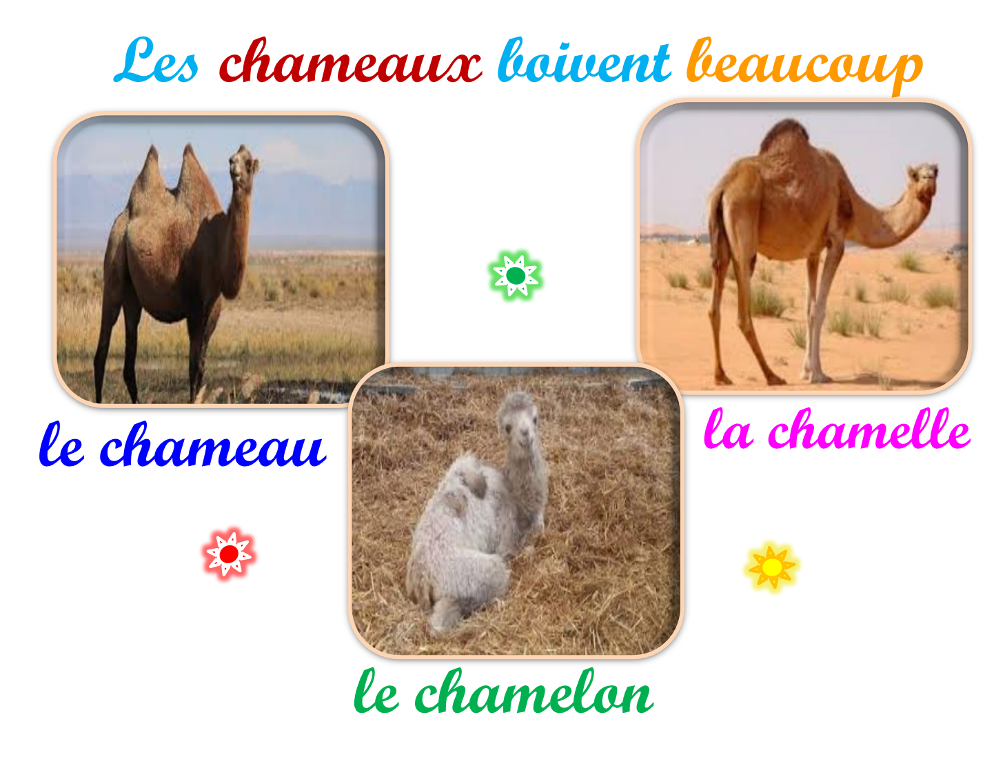 Oups