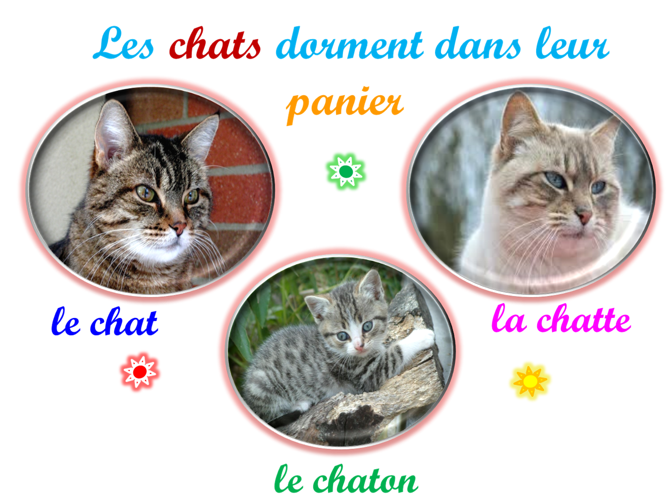 Oups