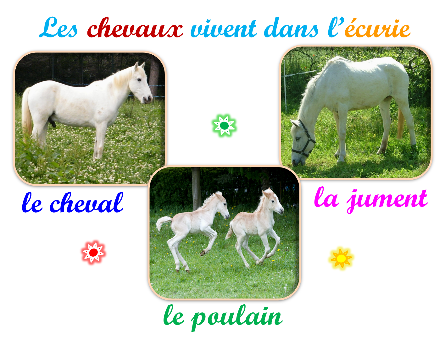 Oups