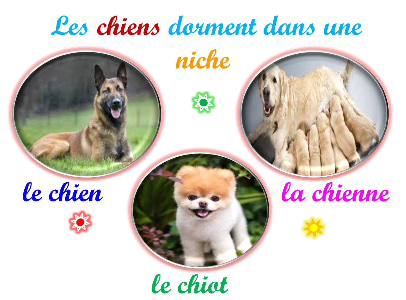 Oups