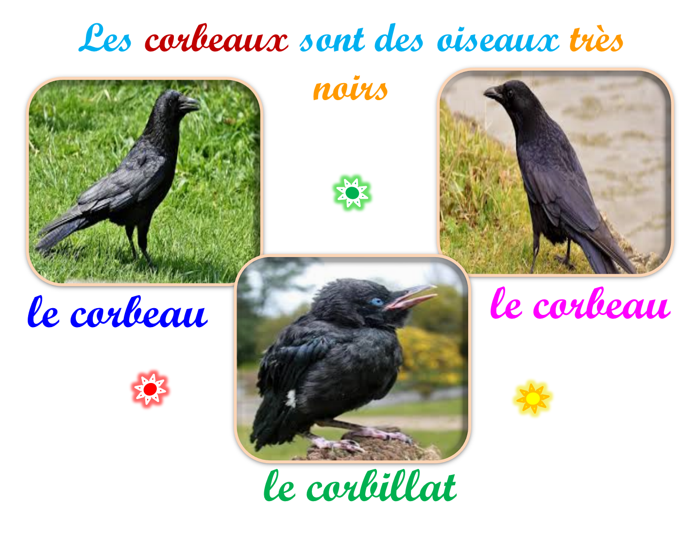 Oups