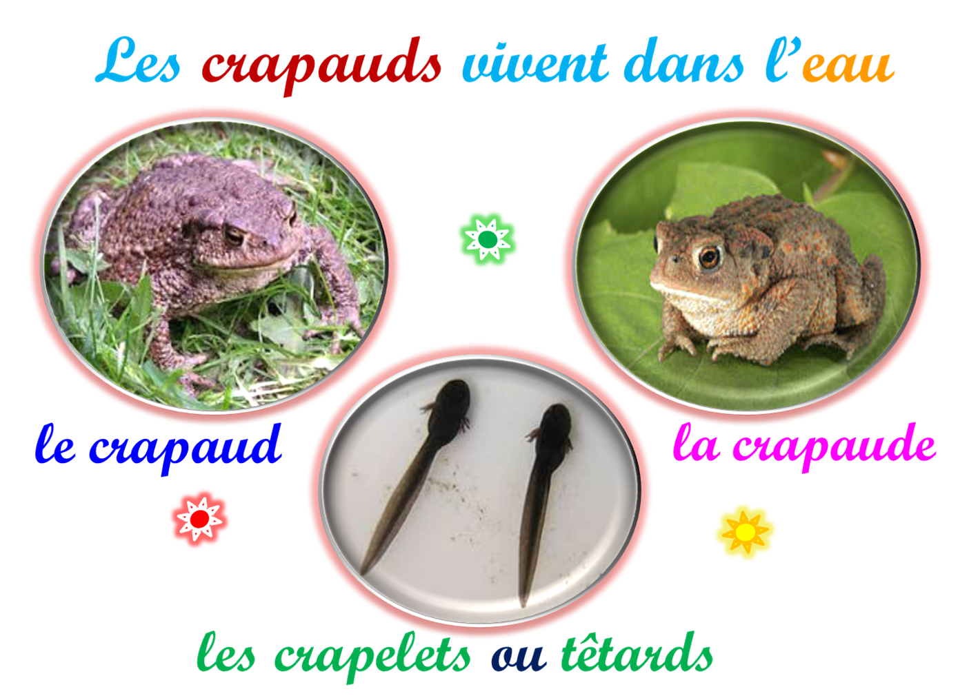 Oups
