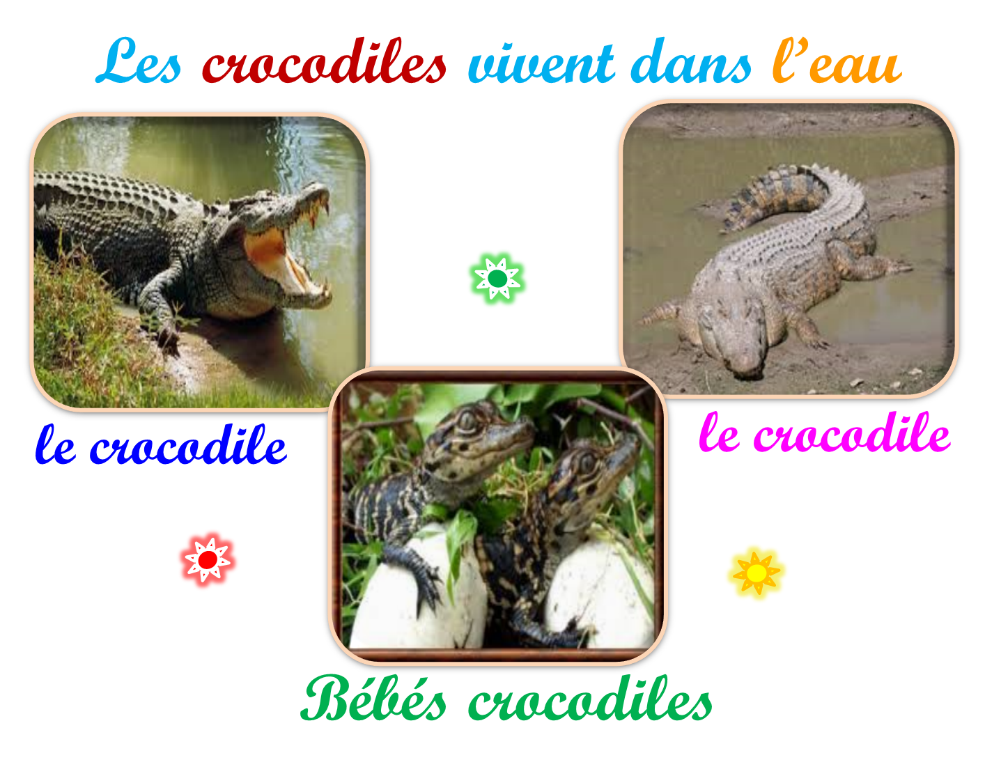 Oups