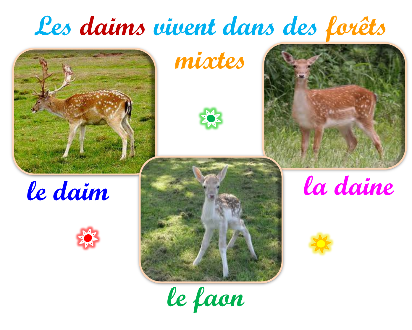 Oups