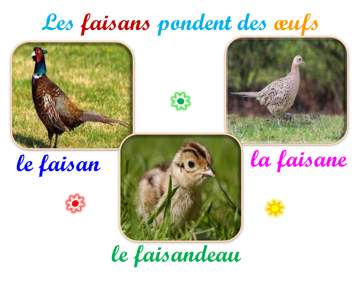 Oups