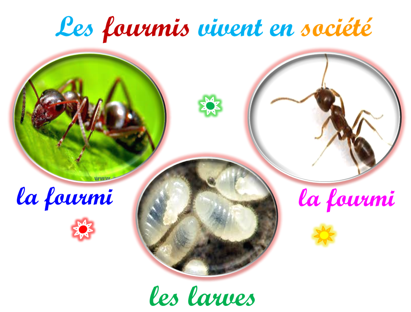 Oups