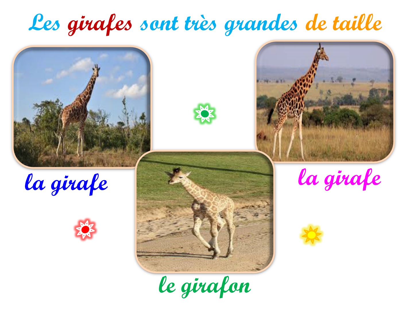 Oups