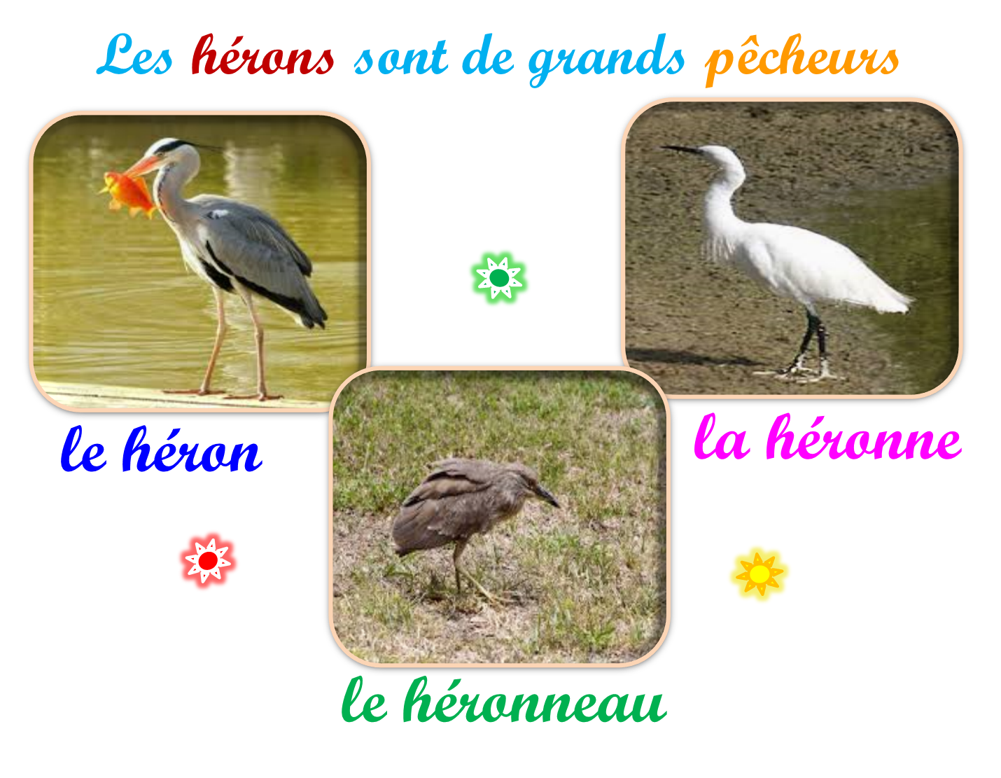 Oups