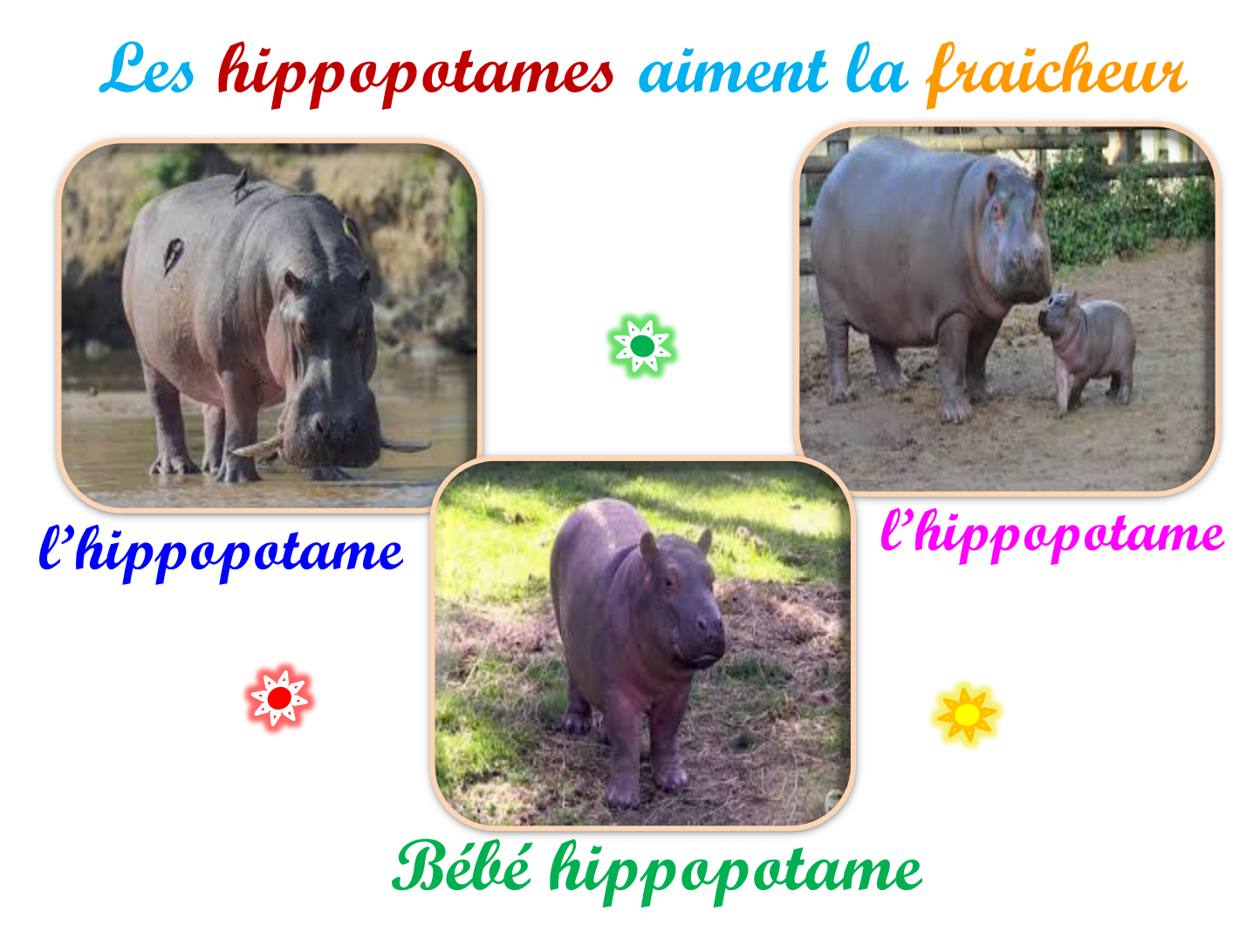 Oups