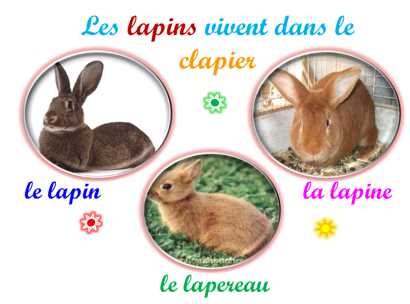 Oups