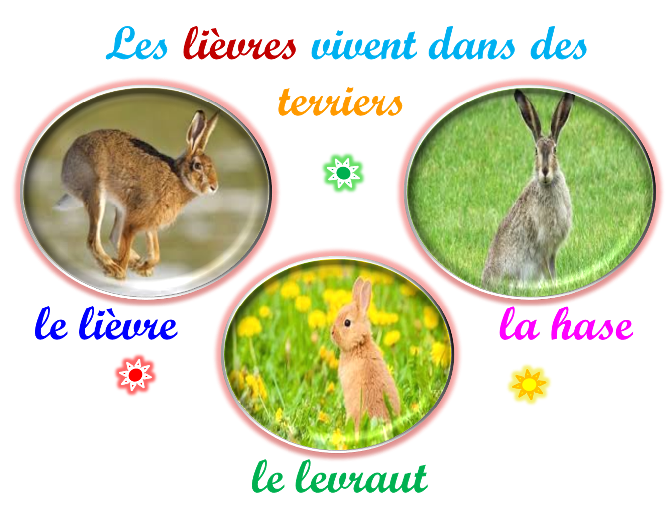 Oups