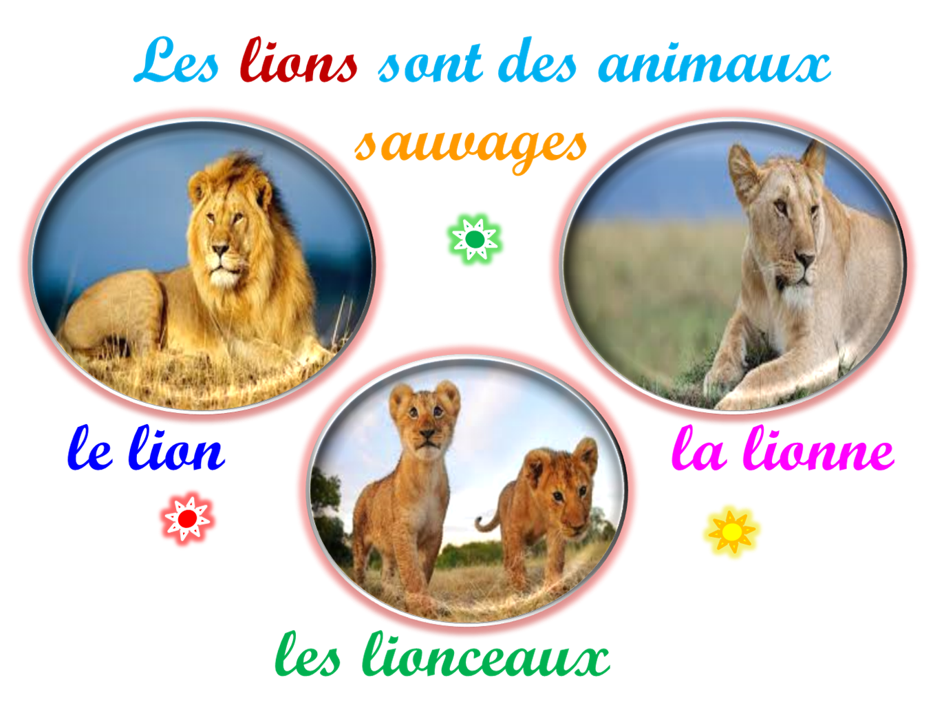 Oups