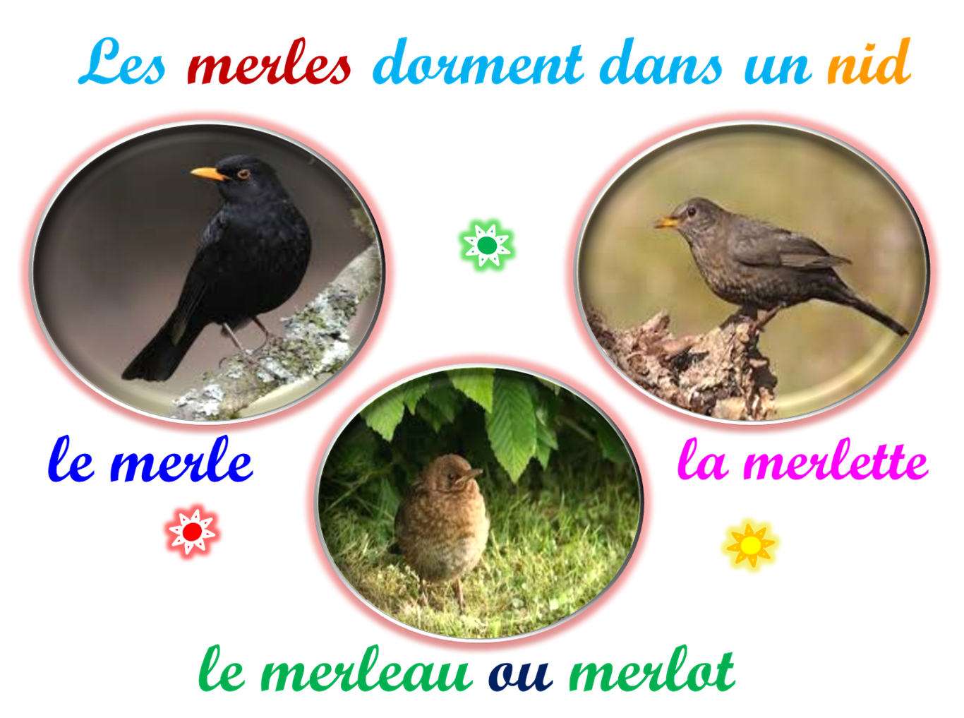 Oups