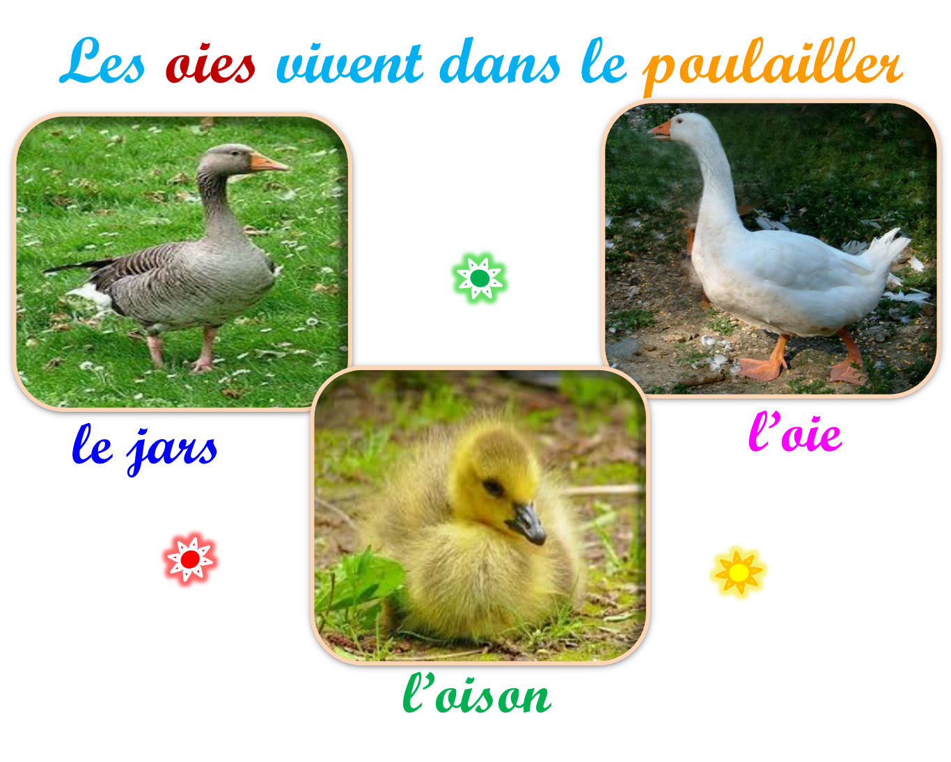 Oups