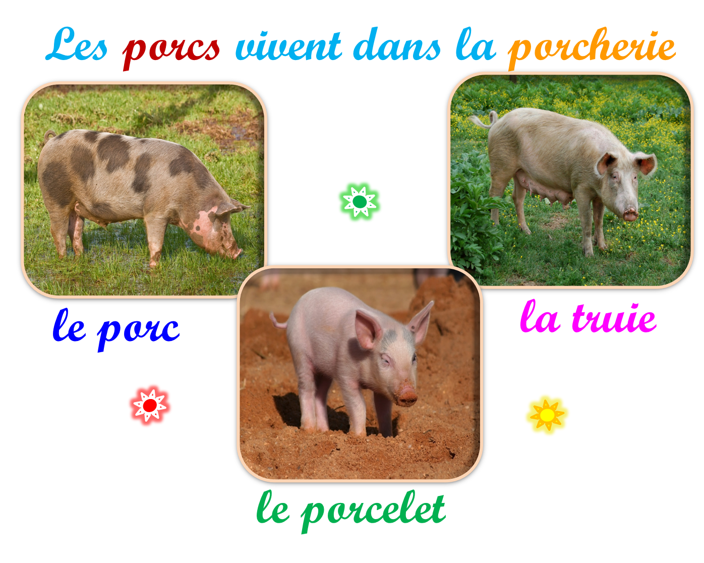 Oups