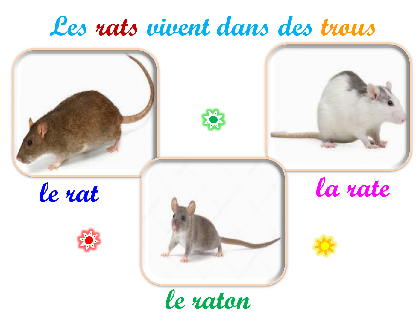 Oups