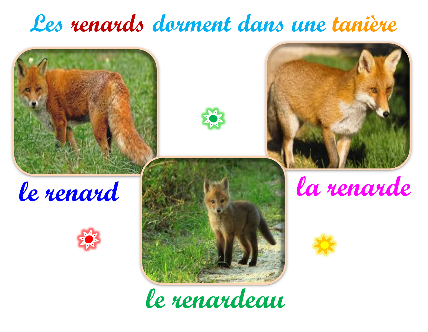 Oups
