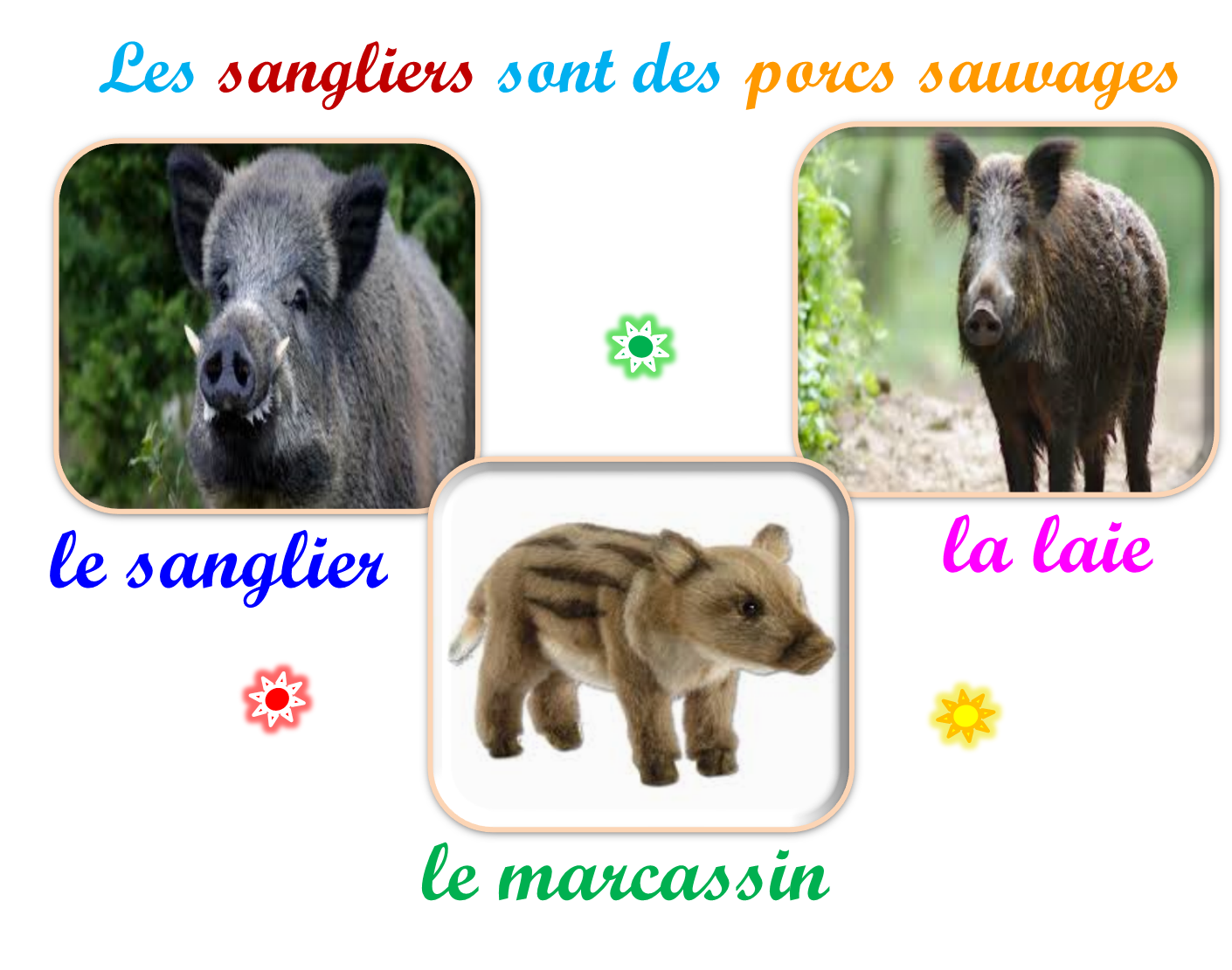 Oups