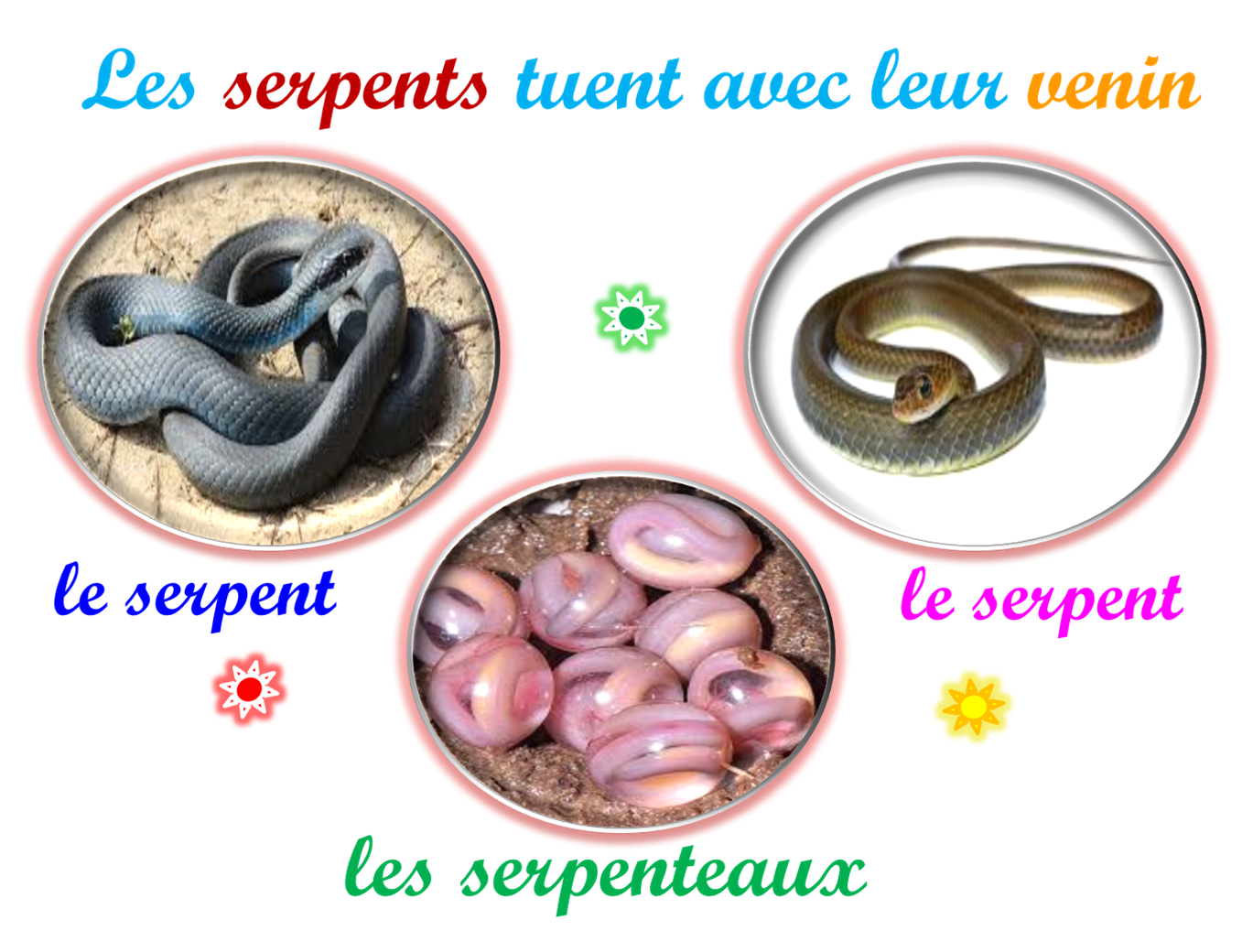 Oups