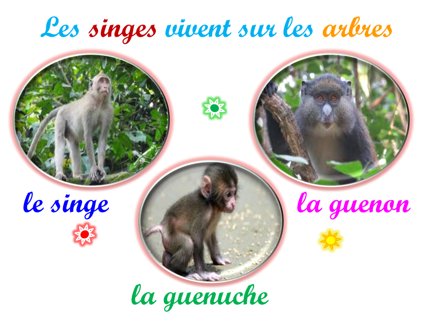 Oups