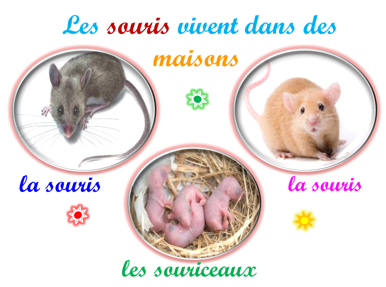 Oups