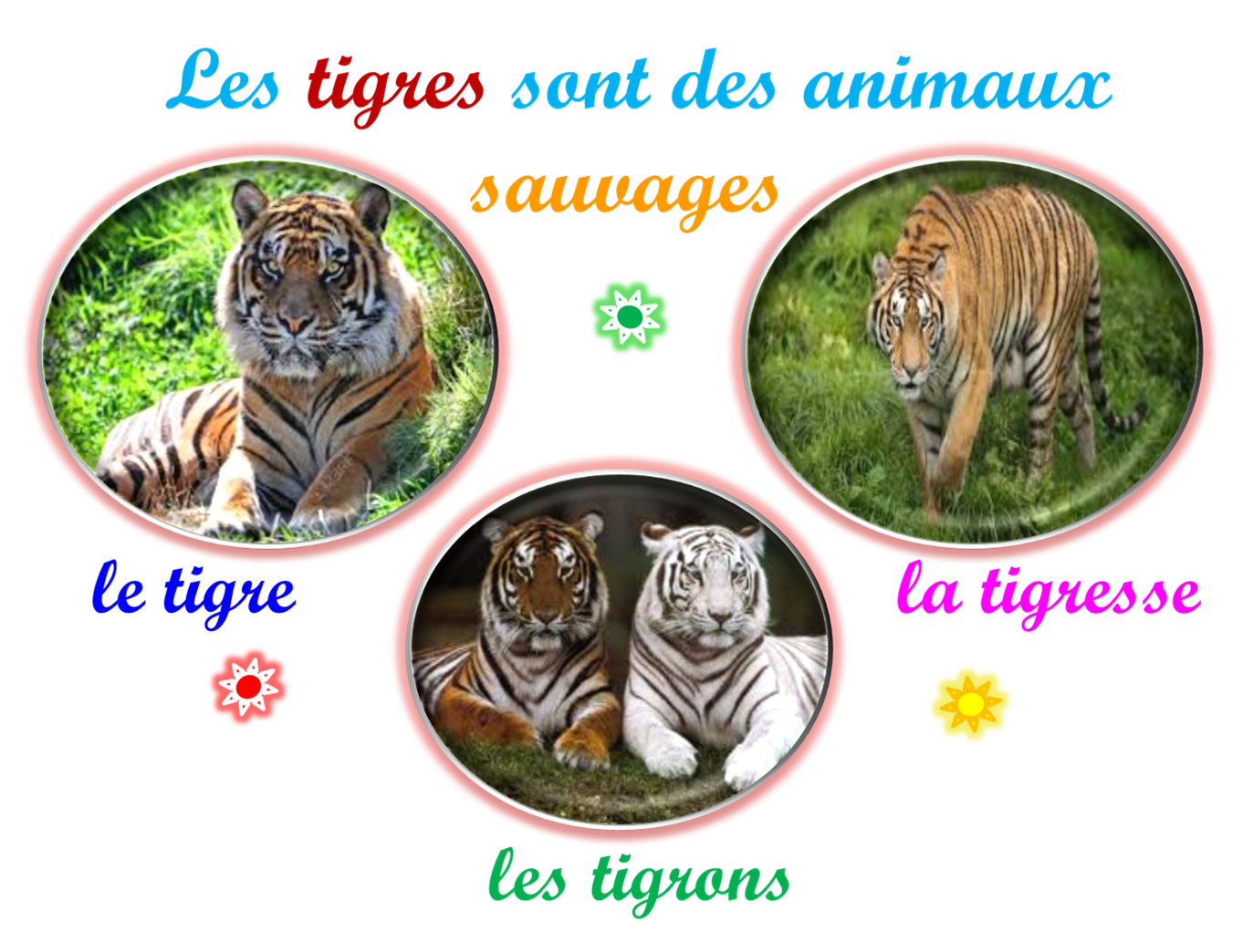 Oups
